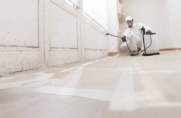 24/7 Emergency Attic Mold Removal experts in Jackson, NC